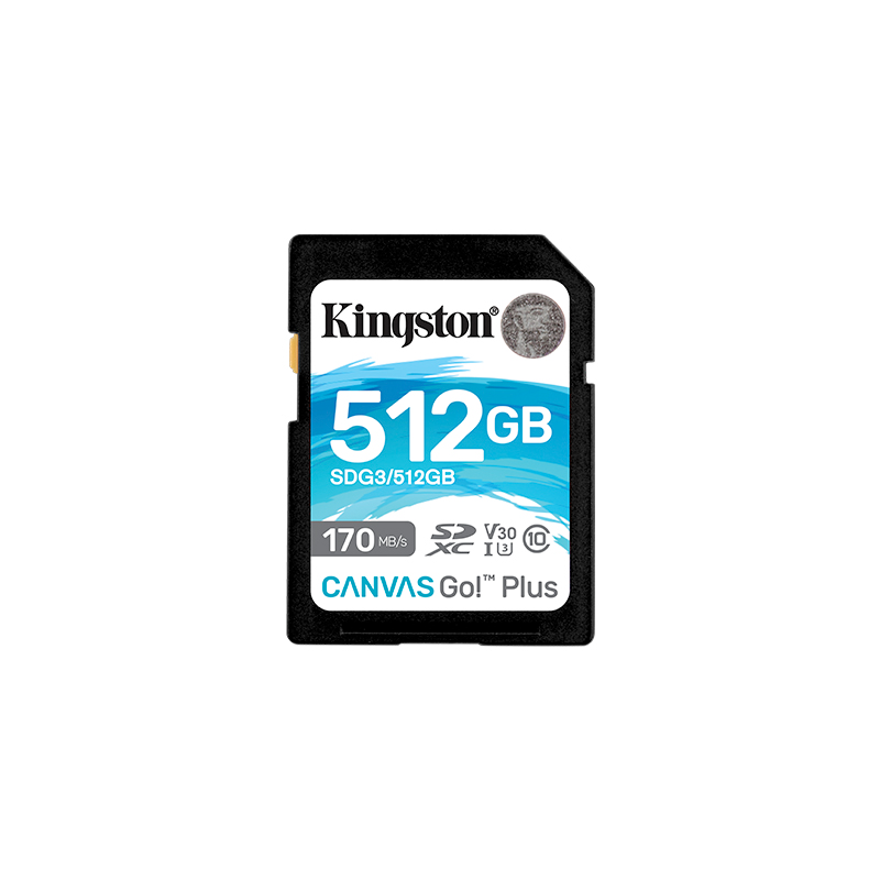 KINGSTON CARTE SD CANVAS GO PLUS