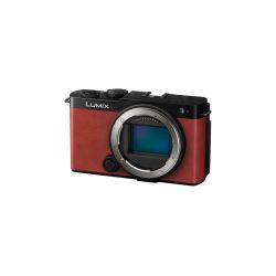 PANASONIC HYBRIDE LUMIX S9