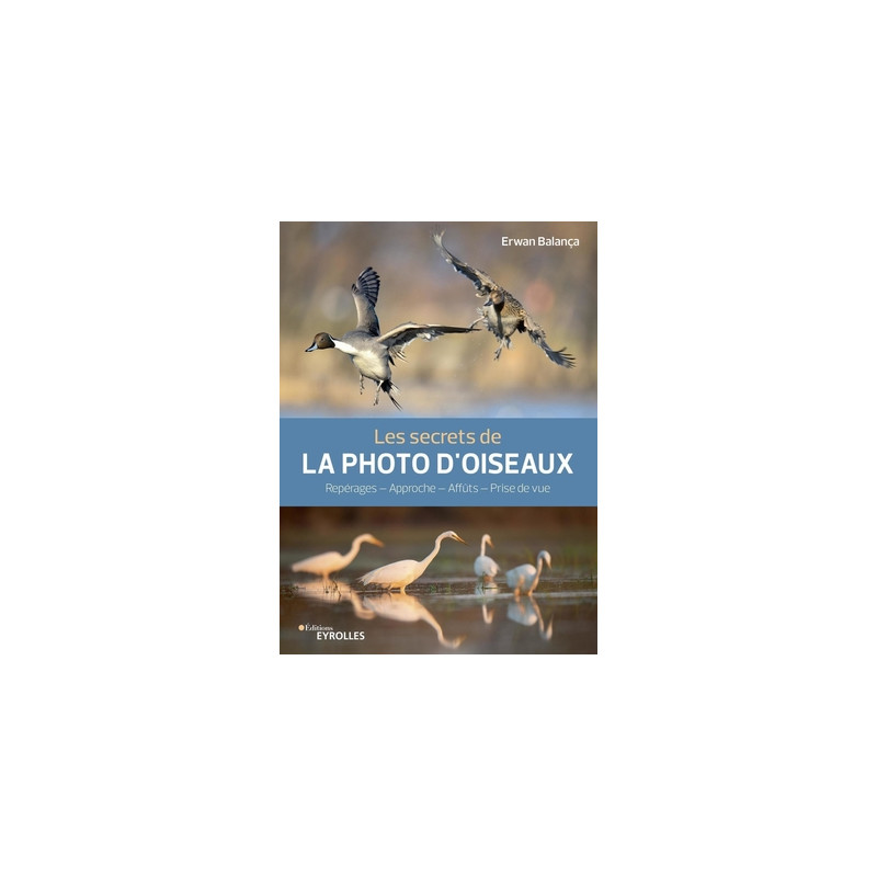 EYROLLES LIVRE LES SECRETS DE LA PHOTO D'OISEAUX