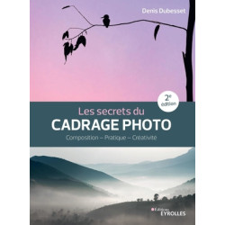 EYROLLES LIVRE LES SECRETS DU CADRAGE PHOTO